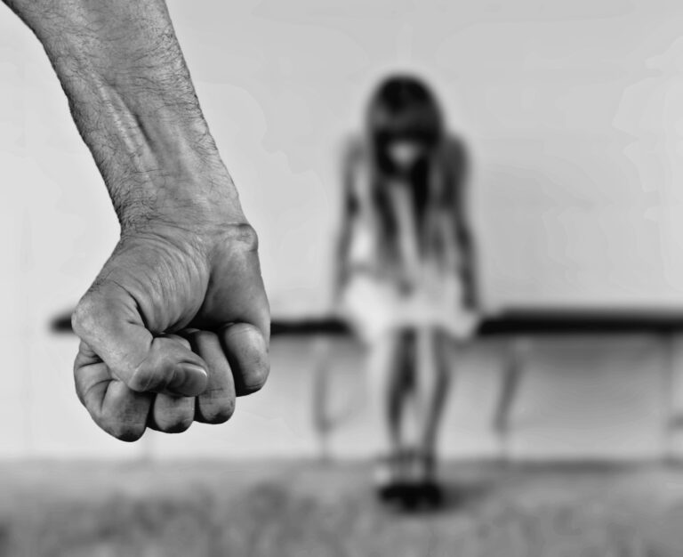 What is Domestic Assault?