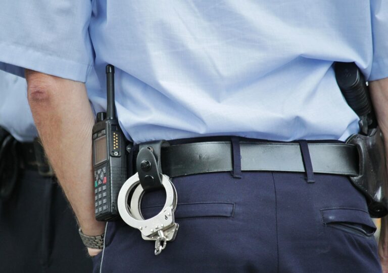 Can the Crown Prosecutor appeal the verdict or sentence?